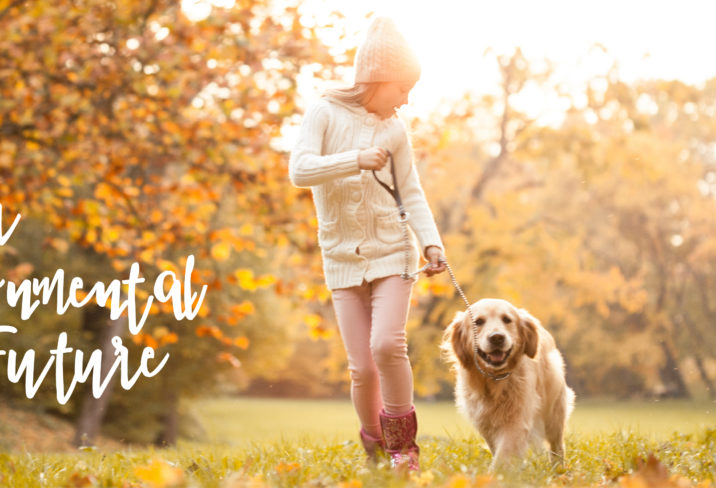 Banner Dog V1 01